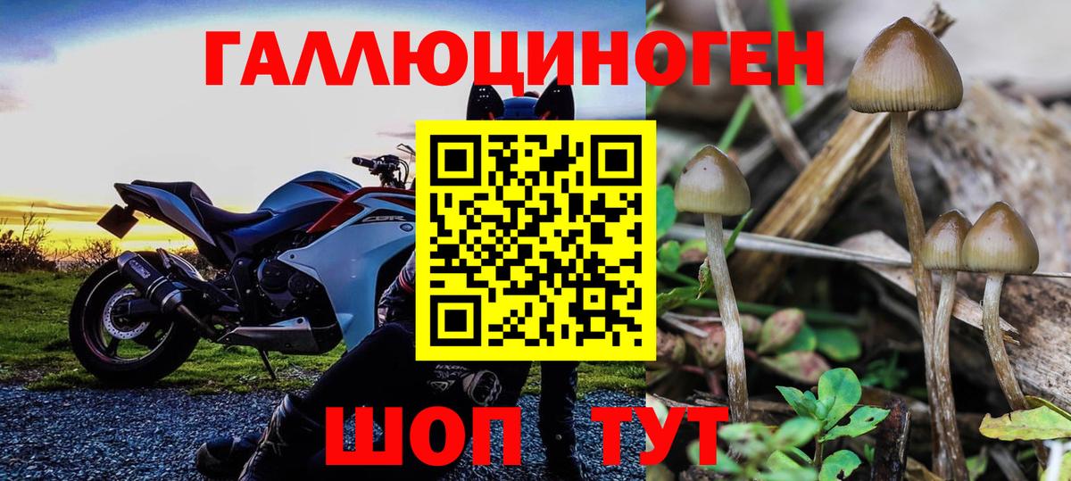Галлюциногенные грибы Psilocybe  Вход с VPN  Первоуральск 